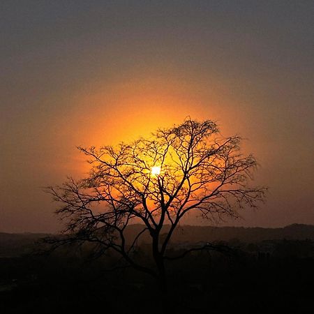 Gir Birding Lodge Sasan Gir Exterior foto