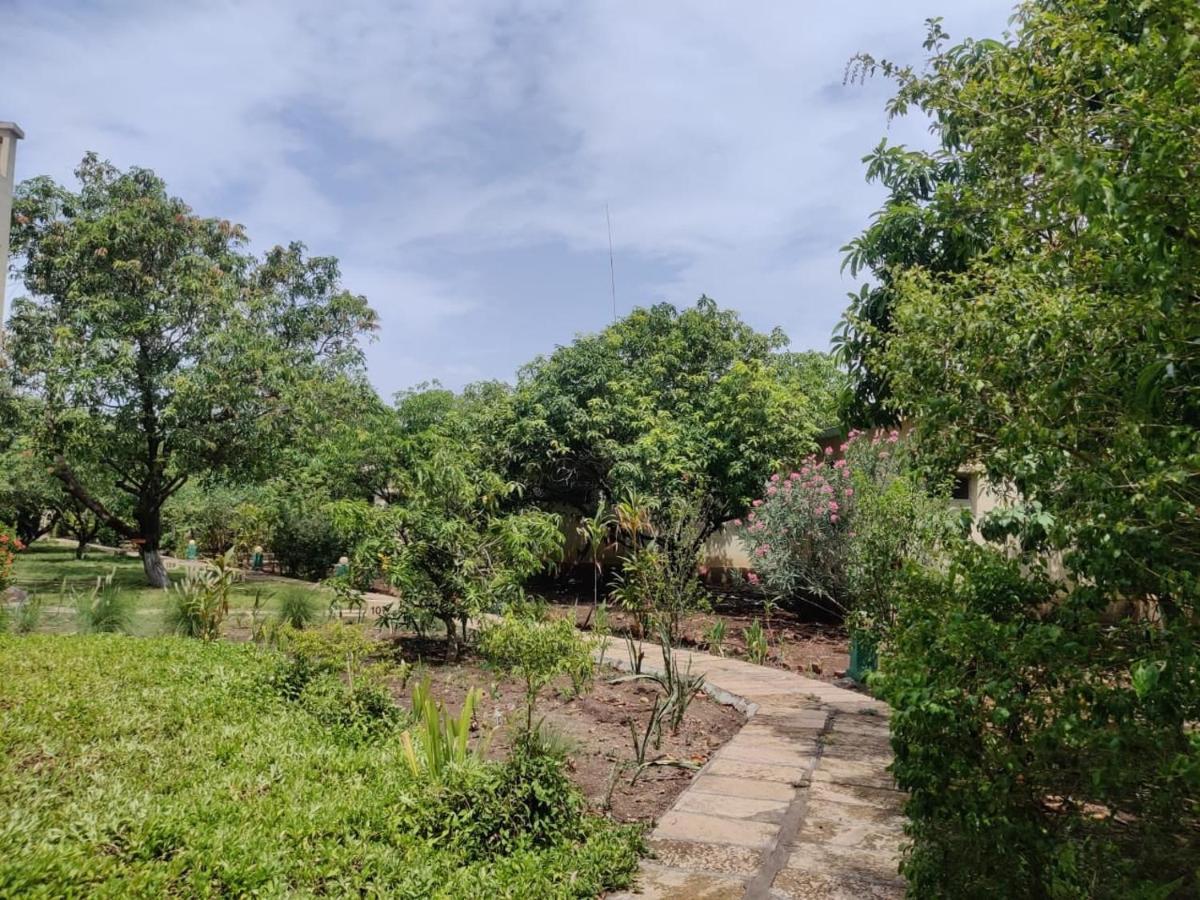 Gir Birding Lodge Sasan Gir Exterior foto